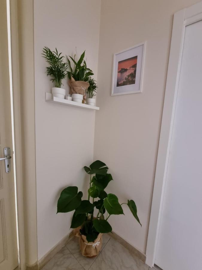 קטאניה Etna Ocean Rooms מראה חיצוני תמונה